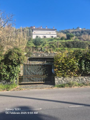 Executive Flat Da Natalino